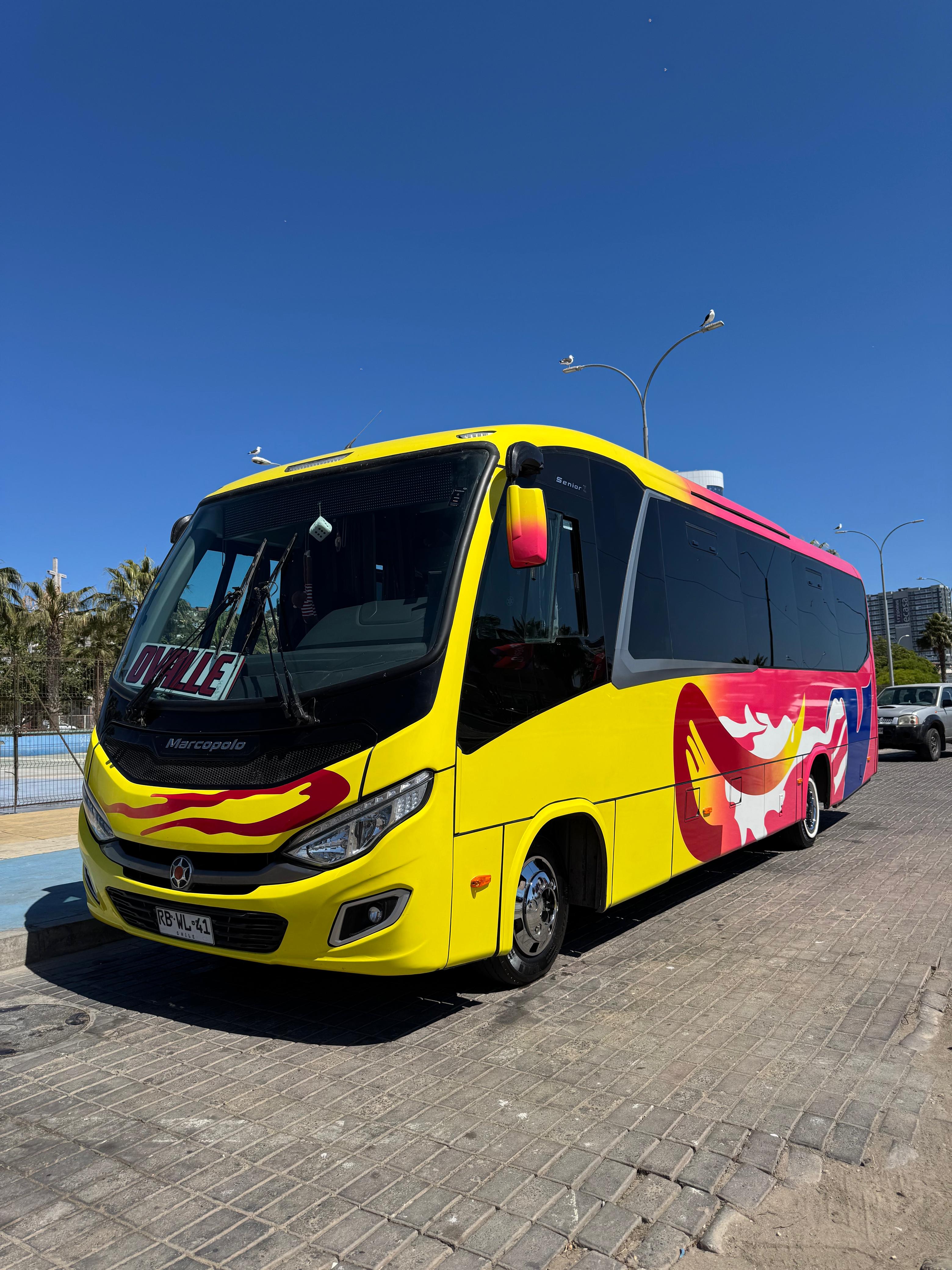 Buses Carvajal Bugueño en ruta
