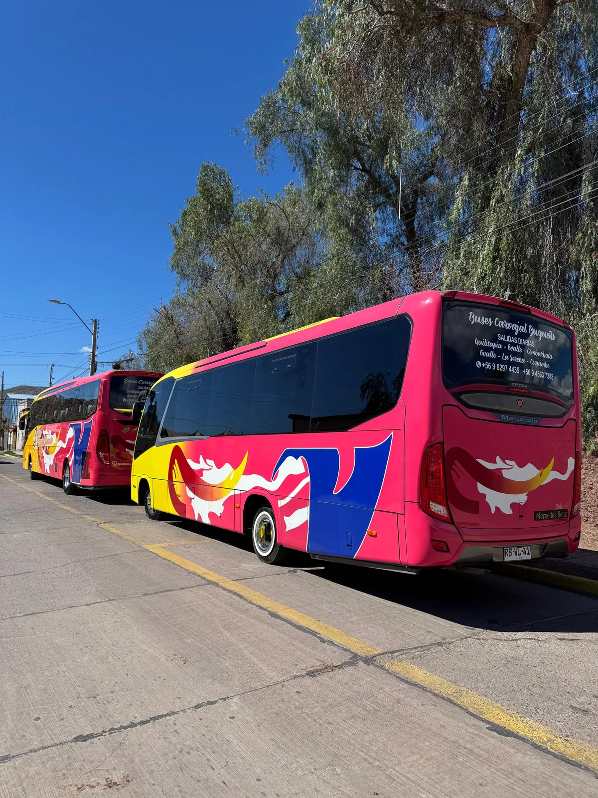 Servicio de calidad